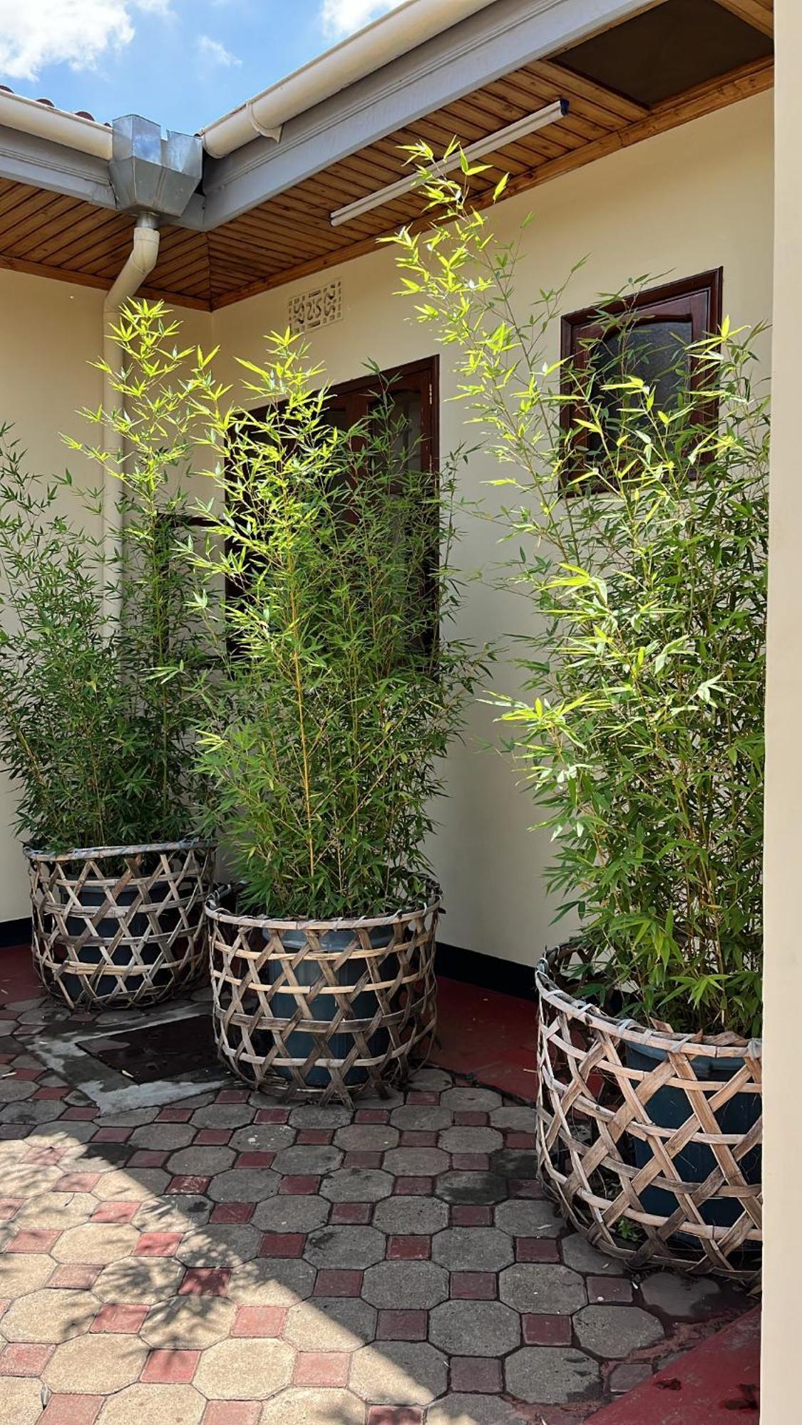 Stasumo House Arusha Bed & Breakfast Ngoại thất bức ảnh